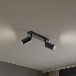 Loftspot Zoom, 2 lyskilder, sort