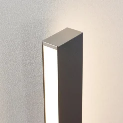Lucande Aegisa LED-vejlampe, 80 cm, antracit, metal, IP54