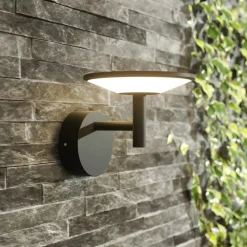 Lucande udendørs LED-væglampe Fenia, antracit, aluminium, IP65