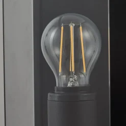 Lucande udendørs væglampe Annalea, røggrå, IP54, sensor