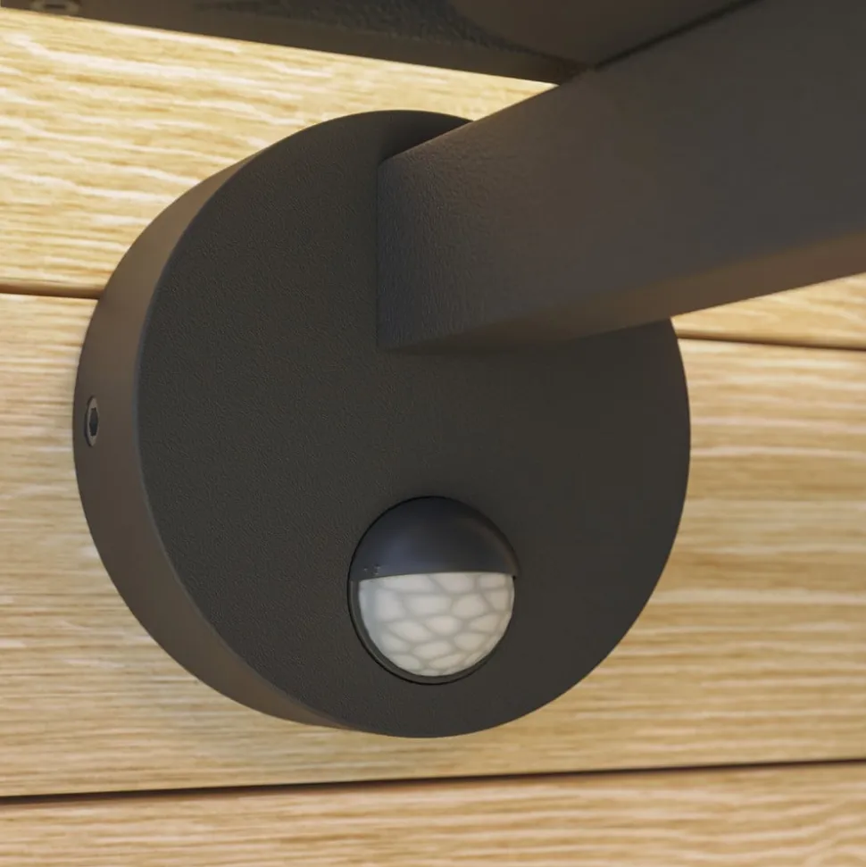 Lucande udendørs væglampe Ferda, sensor, opretstående antracit IP44