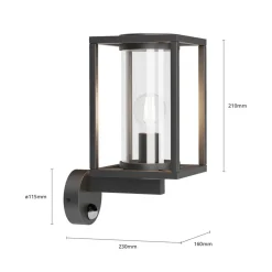 Lucande udendørs væglampe Ferda, sensor, opretstående antracit IP44