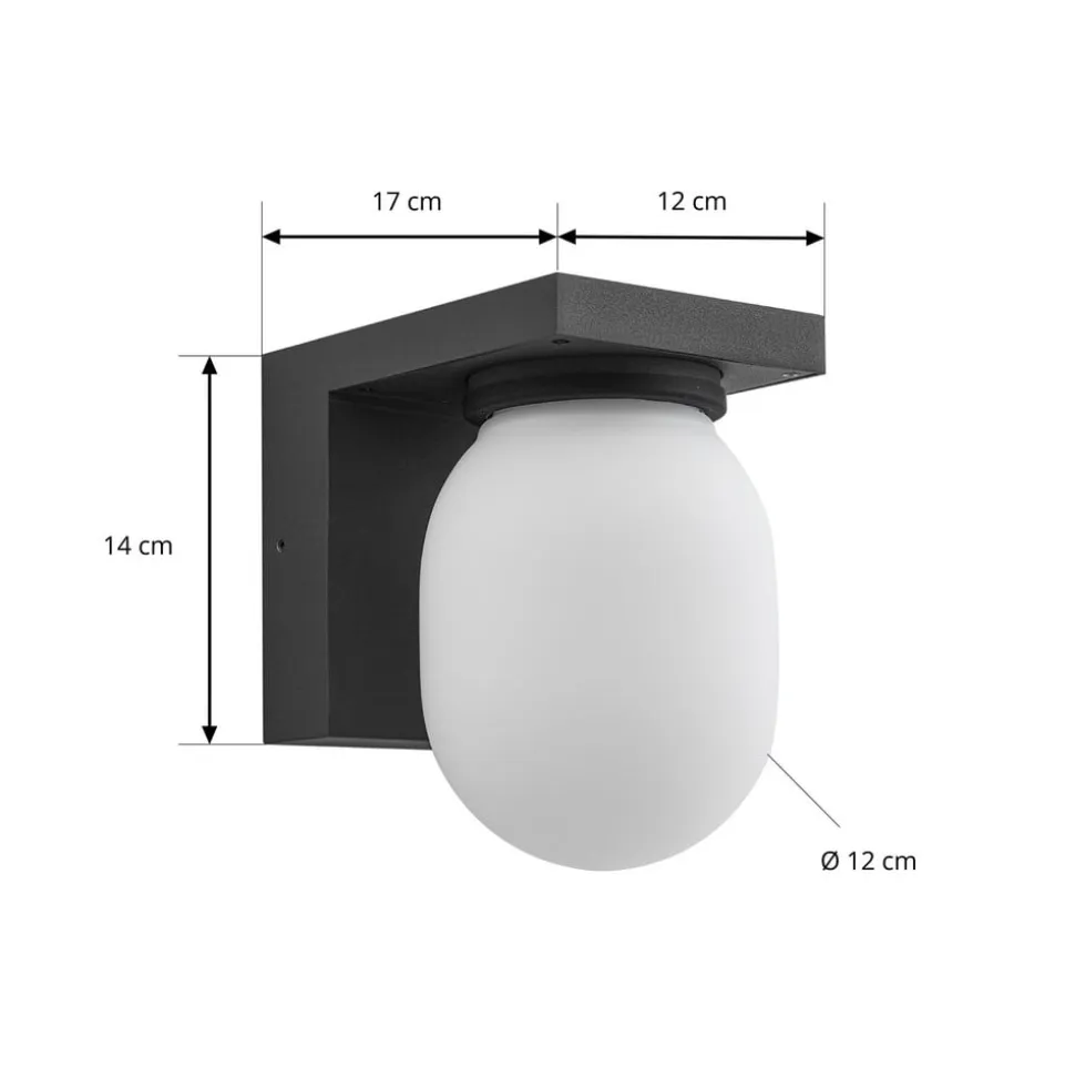 Lucande udendørs væglampe Ovaali, glas, mørkegrå, IP65