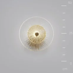 Maytoni væglampe Aster, glas, Ø 28 cm, 1 x E14