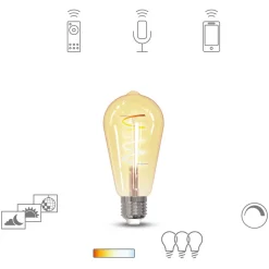 Müller Licht tint LED-pære Retro Gold E27 5,5 W