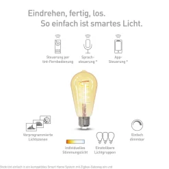 Müller Licht tint LED-pære Retro Gold E27 5,5 W