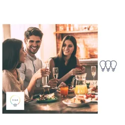 Müller Licht tint Petunia LED-gadelampe sæt med 3 stk