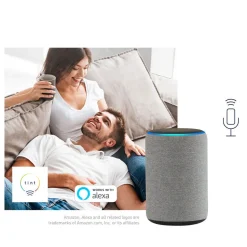 Müller Licht tint Petunia LED-gadelampe sæt med 3 stk