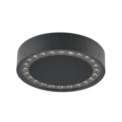 Molto Luce udendørs loftlampe Nona, Ø 22,8 cm, antracit