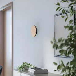 Orios LED-væglampe, træ, Ø 20 cm, indirekte spotlight