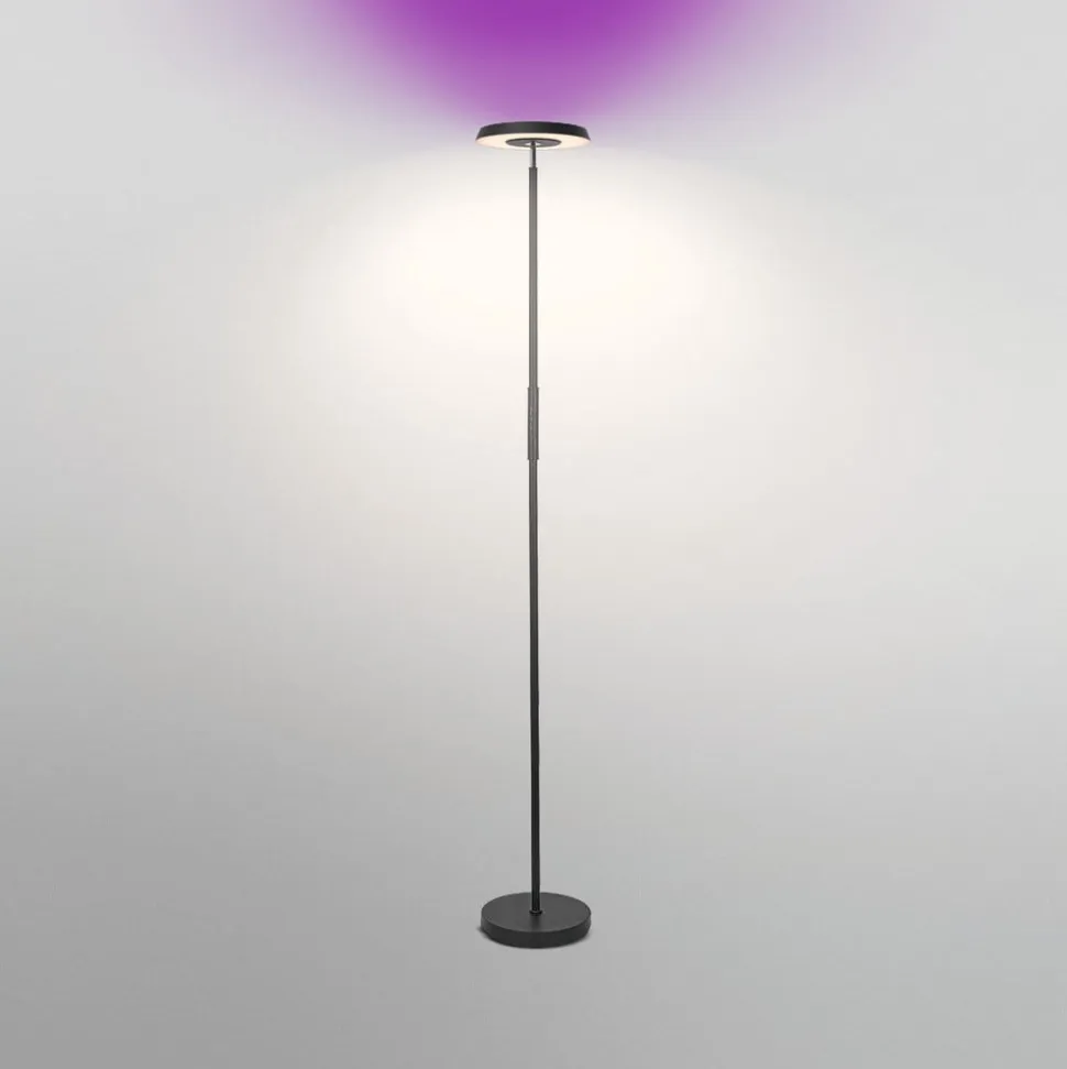 OSRAM SMART+ WiFi LED-gulvlampe, sort, op/ned, RGB CCT