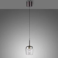 Paul Neuhaus Hængelampe Q-Kon sølvfarvet Ø 21 cm