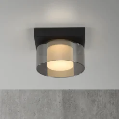 Paul Neuhaus LED-loftlampe Rika, Ø 15 cm, glas, dæmpbar