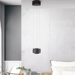 Paul Neuhaus LED-pendellampe Q-Stretto, sort, Ø 14,5 cm