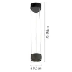 Paul Neuhaus LED-pendellampe Q-Stretto, sort, Ø 14,5 cm