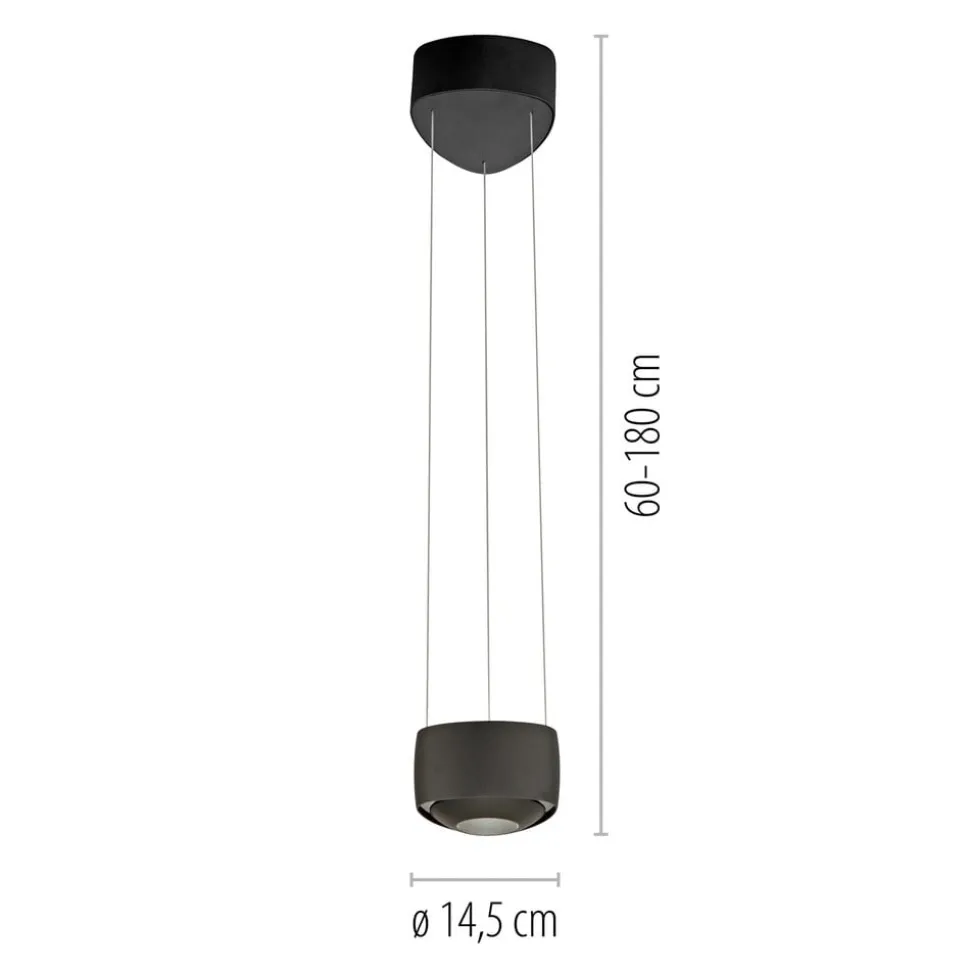 Paul Neuhaus LED-pendellampe Q-Stretto, sort, Ø 14,5 cm