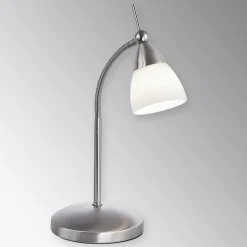 Paul Neuhaus Pino bordlampe, grå, 45 cm, dæmpbar, G9