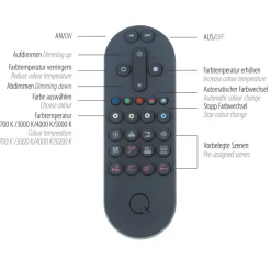 Paul Neuhaus Q-Beluga LED-hængelampe, messing