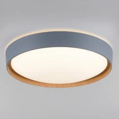 Paul Neuhaus Q-EMILIA LED-loftslampe, grå/træ