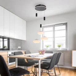 Paul Neuhaus Q-ETIENNE hængelampe rondel, sort