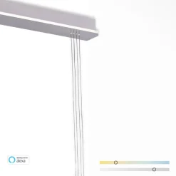 Paul Neuhaus Q-ETIENNE LED-hængelampe, 2 lyskilder