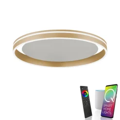 Paul Neuhaus Q-VITO LED-loftslampe, Ø 60 cm