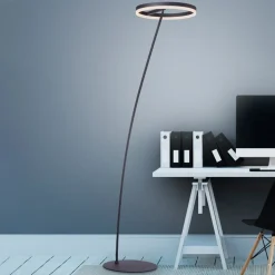 Paul Neuhaus Titus LED-gulvlampe antracit dæmper