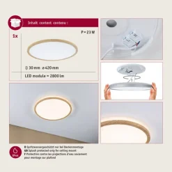 Paulmann LED-loftslampe Atria Shine Ø42cm eg IP44 3.000K