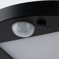 Paulmann LED-solcellelampe til udendørs væglampe Ryse, antracit