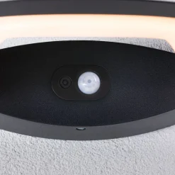 Paulmann udendørs LED-væglampe Akena, 2.200 K, antracit