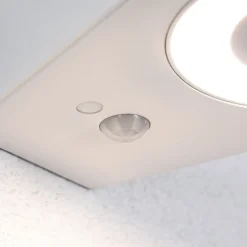 Paulmann udendørs LED-væglampe Silma hvid 1 lyskilde IP44