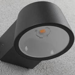 Paulmann udendørs LED-væglampe Capea, antracit, aluminium, IP44