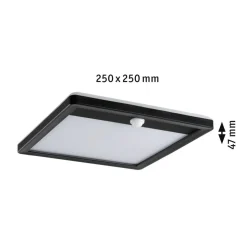 Paulmann udendørs LED-væglampe Lamina, sort, sensor, IP44