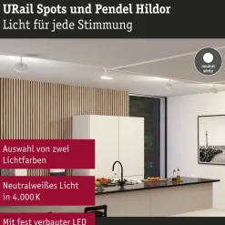 Paulmann URail Hildor LED-spot hvid 4.000 K