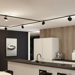 Paulmann URail skinnespot Alejandro sort 4.000K dæmpbar