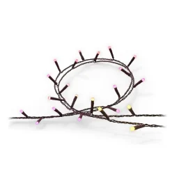 Philips Hue Festavia LED-lyskæde, CCT RGB 20 m