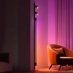 Philips Hue Perifo 2x Spots, Gradient Tube sort
