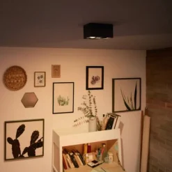 Philips myLiving Box LED-spot, 2 lyskilder, sort