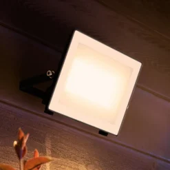 Philips udendørs LED-spot Lois UE flood, 24 W, 3.000 K, IP65