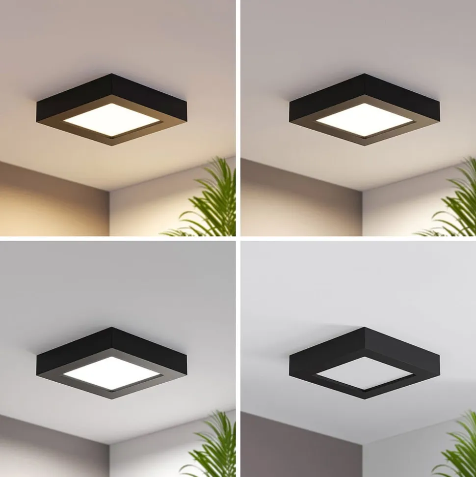 Prios LED-loftlampe Alette, sort, 12 W, CCT, dæmpbar