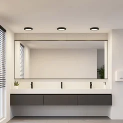 Prios LED-loftlampe Edwina, sort, 23 cm, CCT, IP44