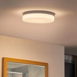 Prios Wynion LED-loftslampe CCT DIP-kontakt 30 cm