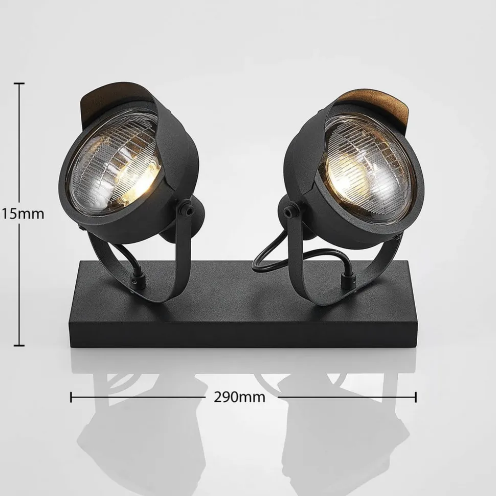 Projektør-loftspot Henega, sort med 2 lyskilder