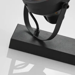 Projektør-loftspot Henega, sort med 2 lyskilder