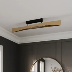 Quitani LED-loftslampe Lian, messing, sort