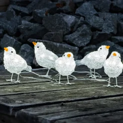 Sød udendørs dekoration LED-fuglekvintet