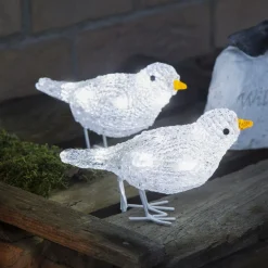 Sød udendørs dekoration LED-fuglekvintet