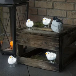 Sød udendørs dekoration LED-fuglekvintet