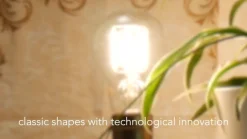 SEGULA LED-pære E27 6,5 W filament ambient-dimming