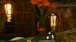 SEGULA Long Style LED-rustik pære E27 6 W, grå